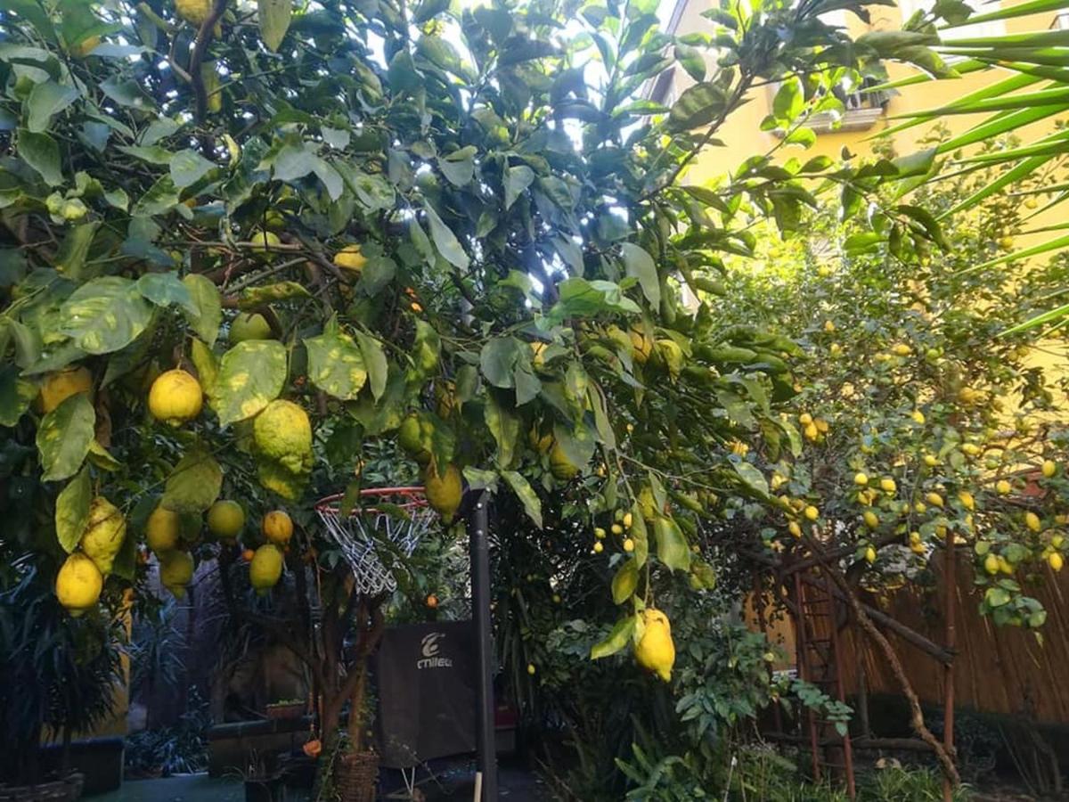 Apartamento La Limonaia Di Chiaia Nápoles Exterior foto