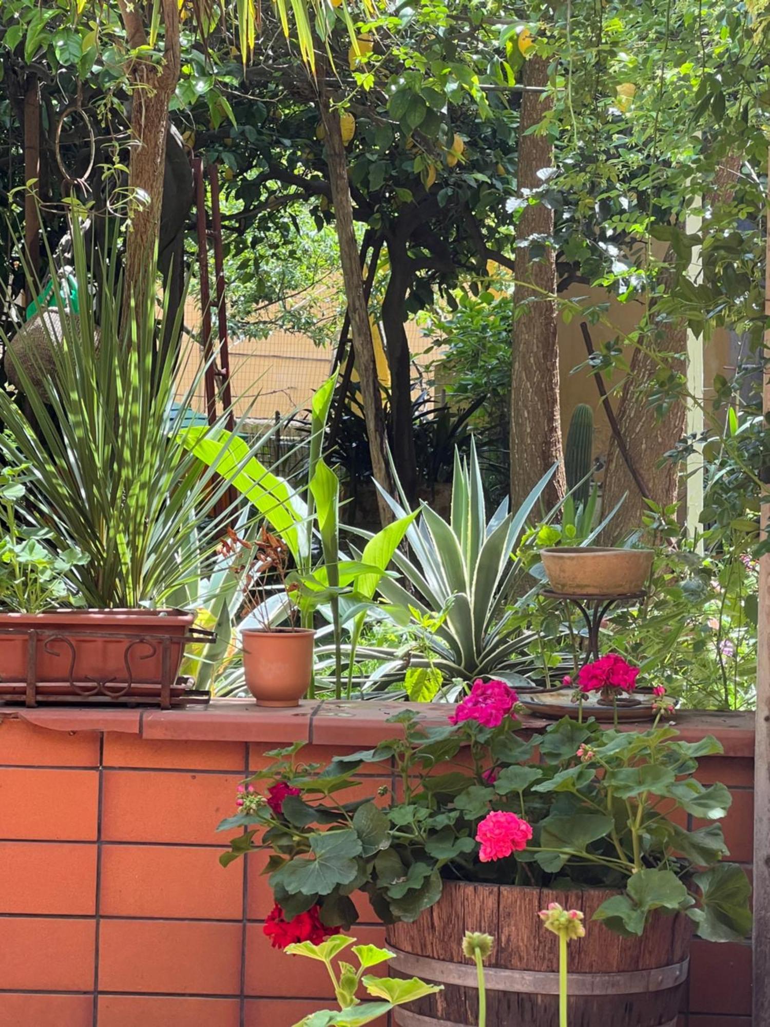 Apartamento La Limonaia Di Chiaia Nápoles Exterior foto